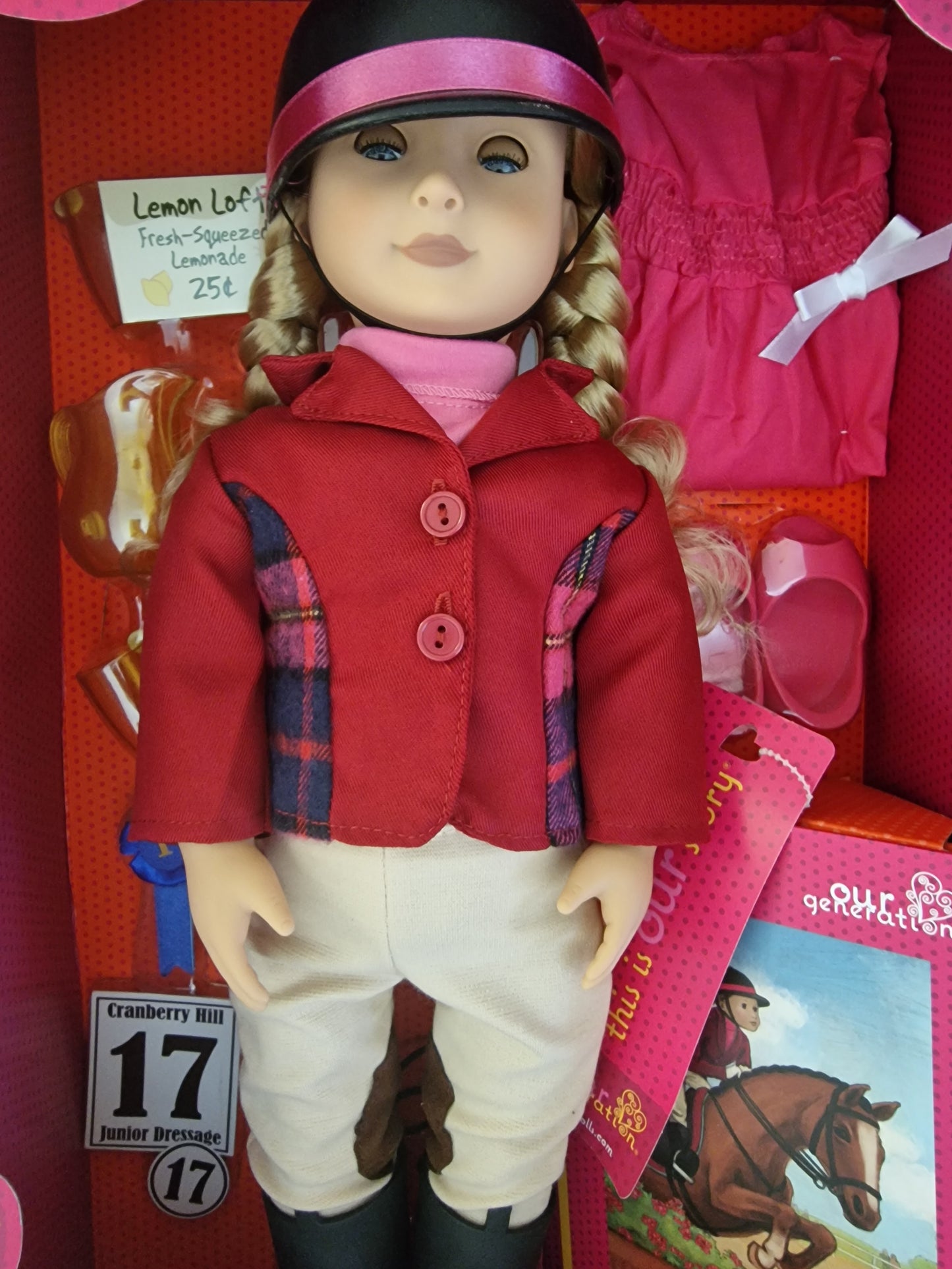 Our Generation Lily Anna Deluxe Doll With Book