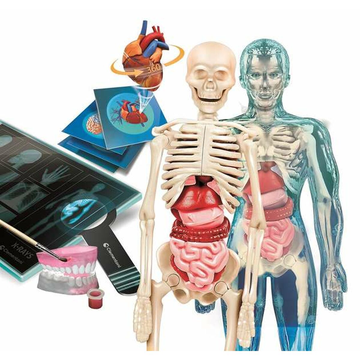 V7H59A1C15E5D79B2D356FF4FD0582244EFR5691434P2