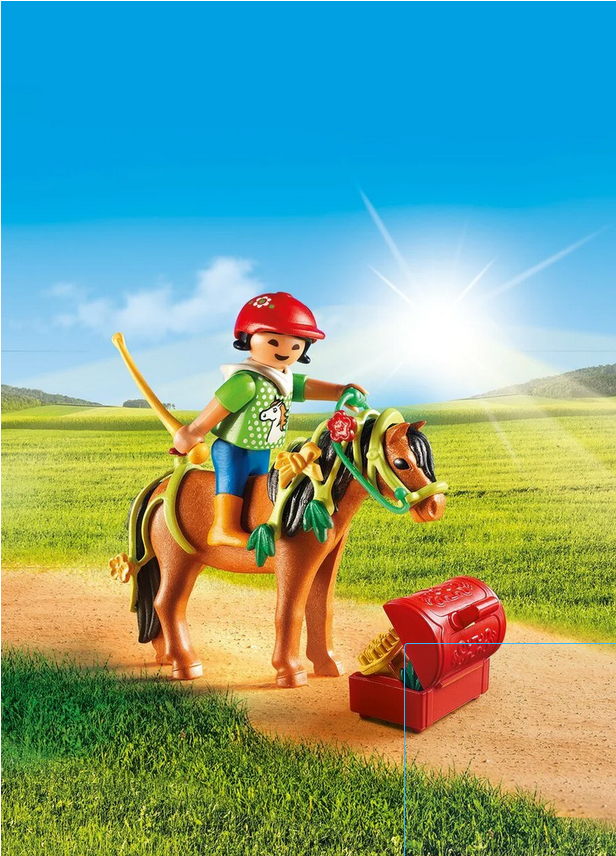 Playmobil Country 6968 Knight With Flower Pony Action Figure