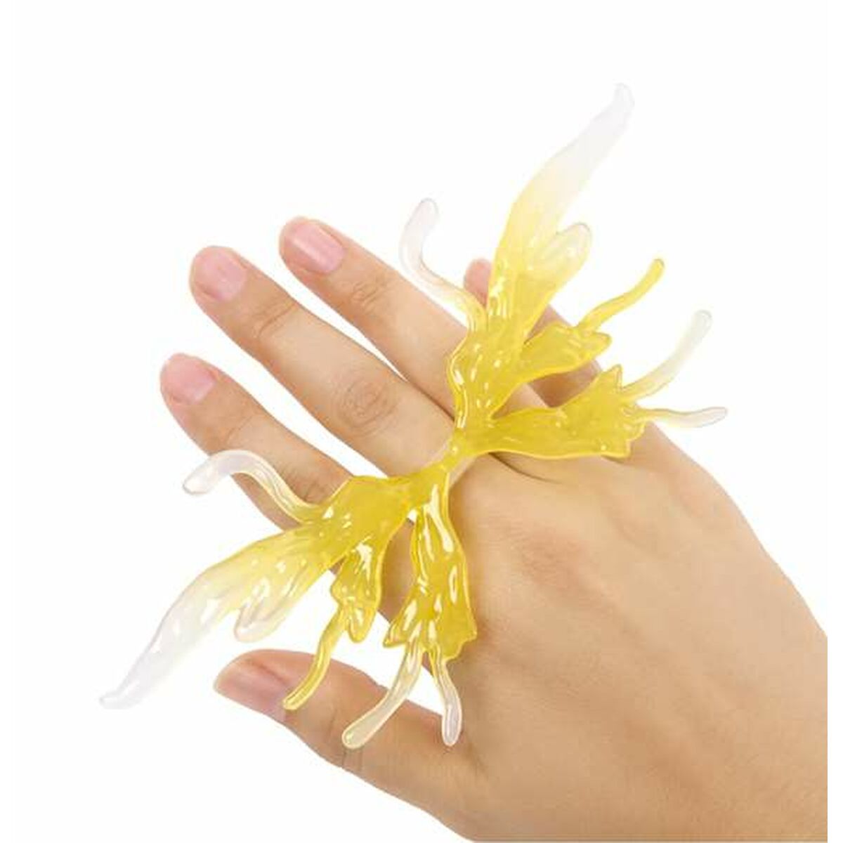 V4H53DF3DD3F94A12E5288B6C48D927664ER7270383P5