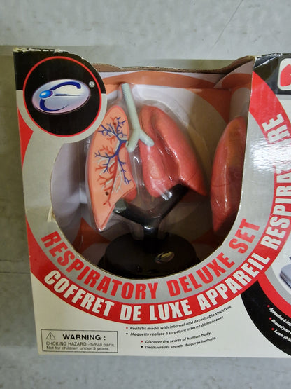 Eastcolight  Respiratory Deluxe Set
