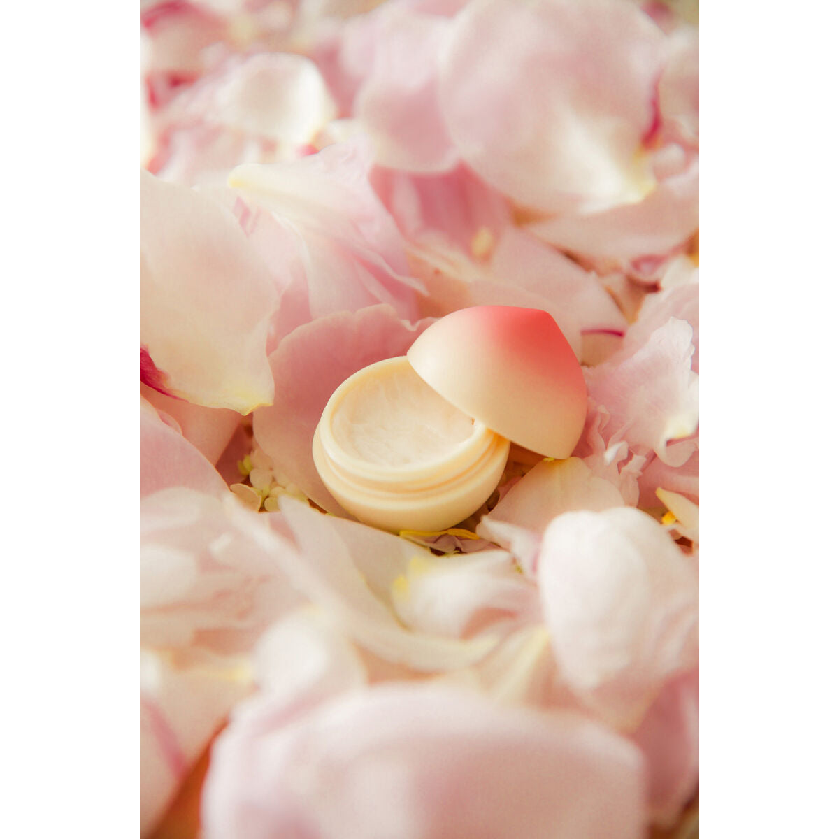 V6H8E4FCFDAB2FE51397F3C85D04D6D8782R4975610P3