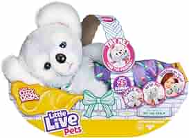 Little Live Pets Cozy Dozy Koala