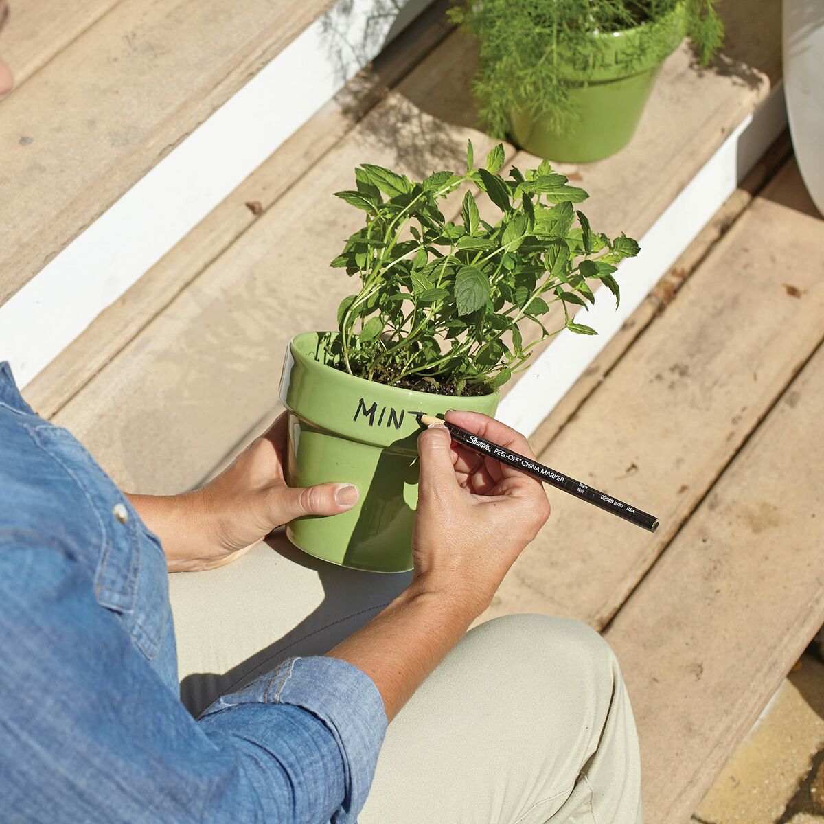 V9H144FD69905A89652F216B9BD4E9324AAR5849154P5