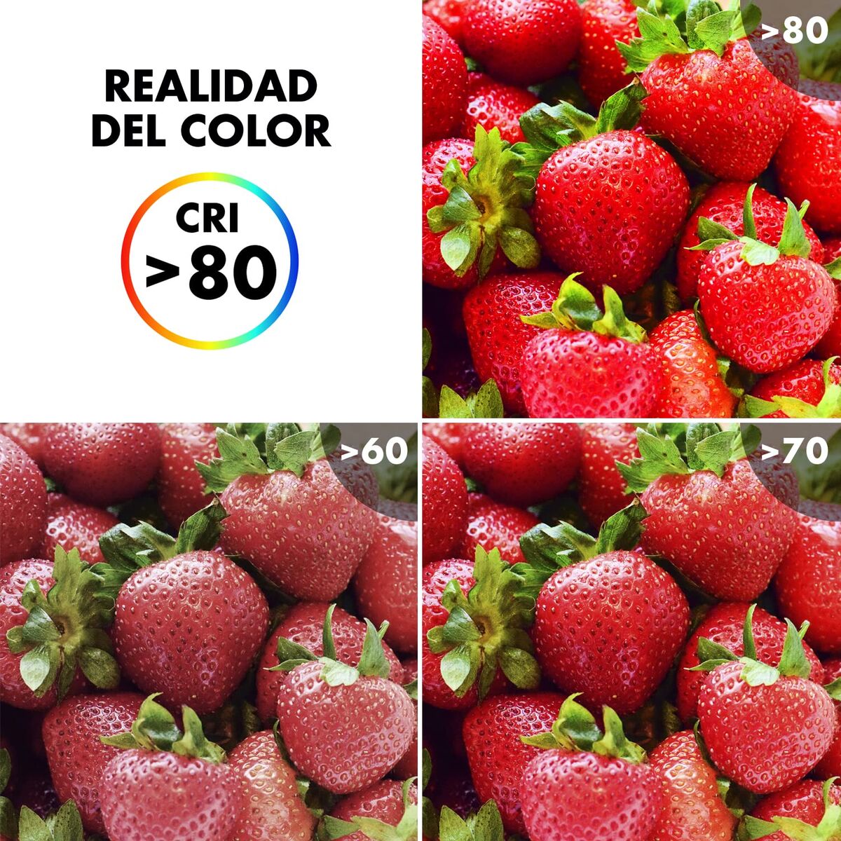 V2H0EB51222E7C9C51306D989AD558C531FR7592854P6