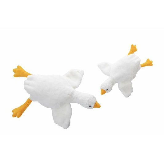 V6H975D515AAED9581C9A1CA9AF747DDA9DR6688016P1