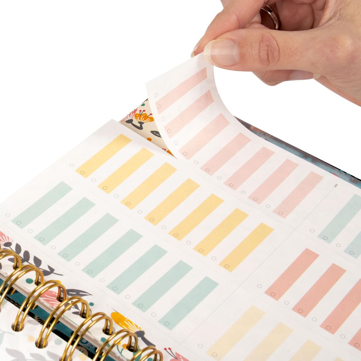 V2H97ADE6EC7F9365931066857BBC7161BDR7471034P8