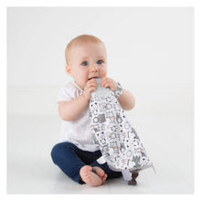 Load image into Gallery viewer, Cheeky Chompers Comfortchew Comforter With Teether