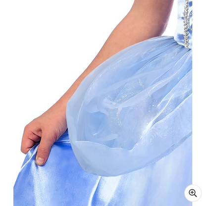 Princess Dress Up Blue Girls Costume 3 To 5 Years Or 6 To 8 Years IEWAREHOUSE Princess Dress Up Blue Girls Costume 3 To 5 Years Or 6 To 8 Years IEWAREHOUSE