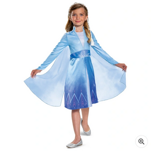Disney Frozen Elsa Boxed Dress Up Costume and Hair Piece