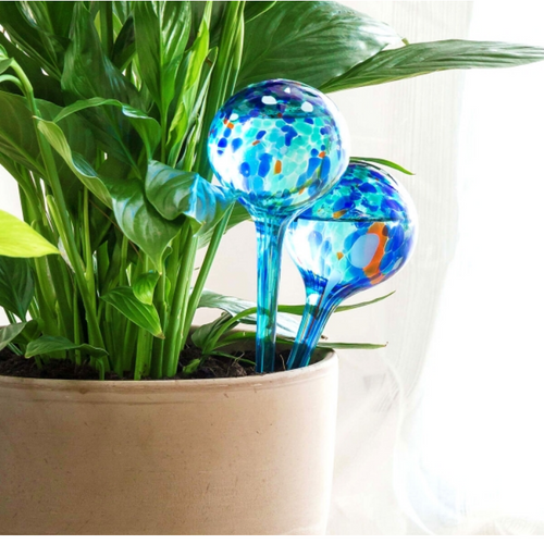 Automatic Watering Globes Aqua·Loon InnovaGoods 2 Units