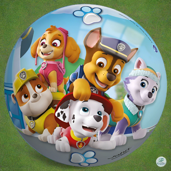 Kids paw patrol skye rubble marshall everest chase Play footBall 23cm