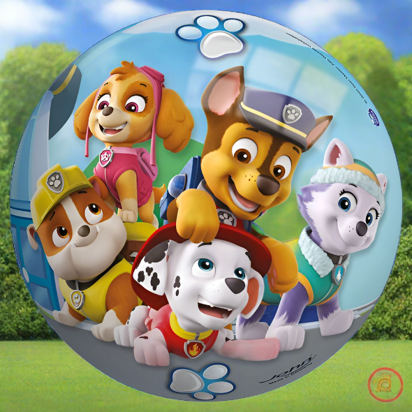 Kids paw patrol skye rubble marshall everest chase Play footBall 23cm