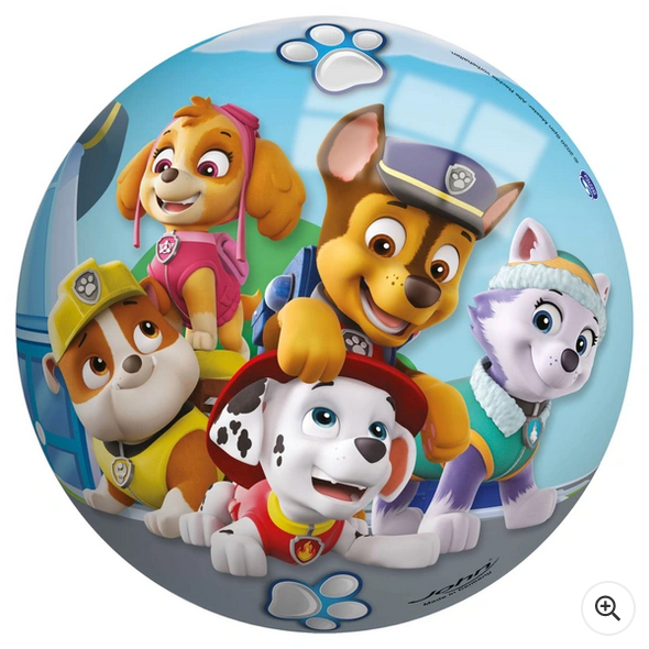 Kids paw patrol skye rubble marshall everest chase Play footBall 23cm