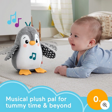 Load image into Gallery viewer, Fisher-Price Flap &amp; Wobble Penguin Toy