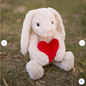 World's Softest Plush BriBri the Bunny with Love Heart Soft Toy 40cm Valentines Day
