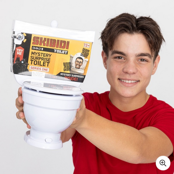 Skibidi Toilet Mystery Surprise Toilet Series 1 Toy