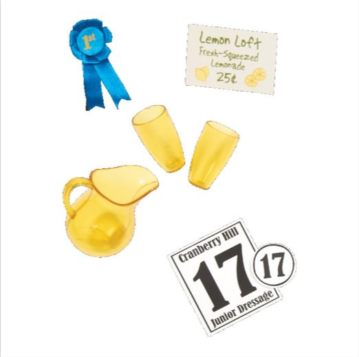 Our Generation Lily Anna Deluxe Doll With Book