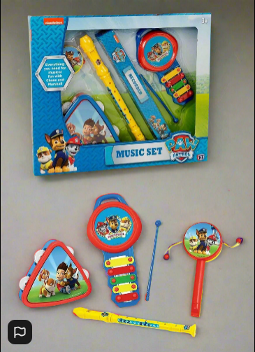 Paw patrol 4 Piece Music Set