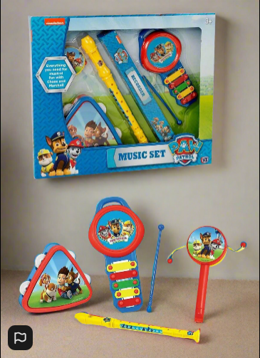 Paw patrol 4 Piece Music Set