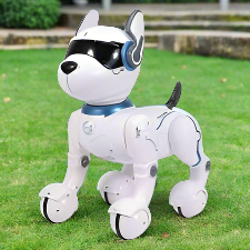 Ziggy the Robot Dog