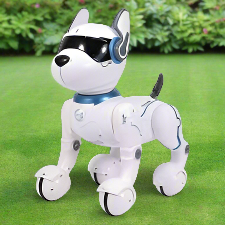 Ziggy the Robot Dog