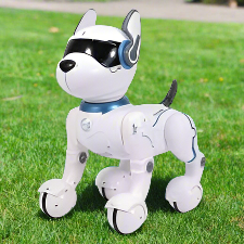 Ziggy the Robot Dog