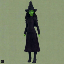 Load image into Gallery viewer, Wicked 30cm Singing Elphaba Fashion Doll