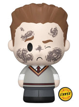 Load image into Gallery viewer, Funko Mini Moments Harry Potter: Potions Class - Seamus Finnigan Chase Edition