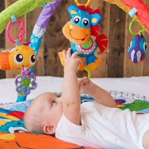 Playgro Clip Clop Activity PlayGym with Music