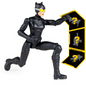 DC Catwoman Articulated Figure