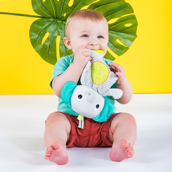 Bright Starts Snuggle and Teether Toy Each Sold Separately